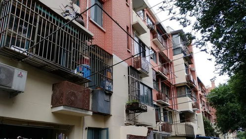 虹口区这些地方启动旧住房修缮改造工程,都有些什么建筑风格