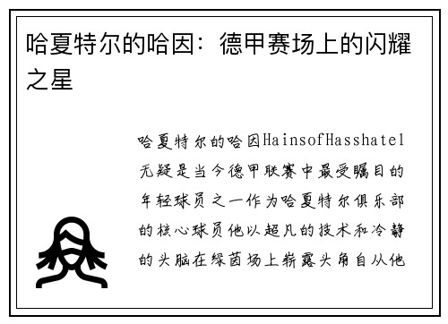 哈夏特尔的哈因：德甲赛场上的闪耀之星