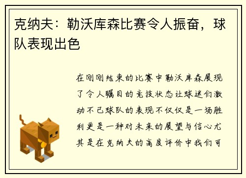 克纳夫：勒沃库森比赛令人振奋，球队表现出色