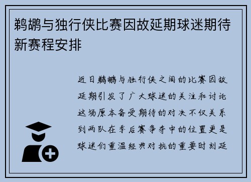 鹈鹕与独行侠比赛因故延期球迷期待新赛程安排