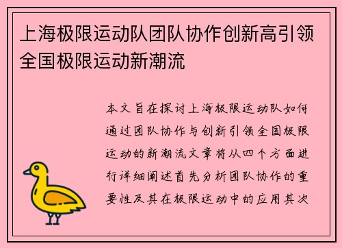 上海极限运动队团队协作创新高引领全国极限运动新潮流